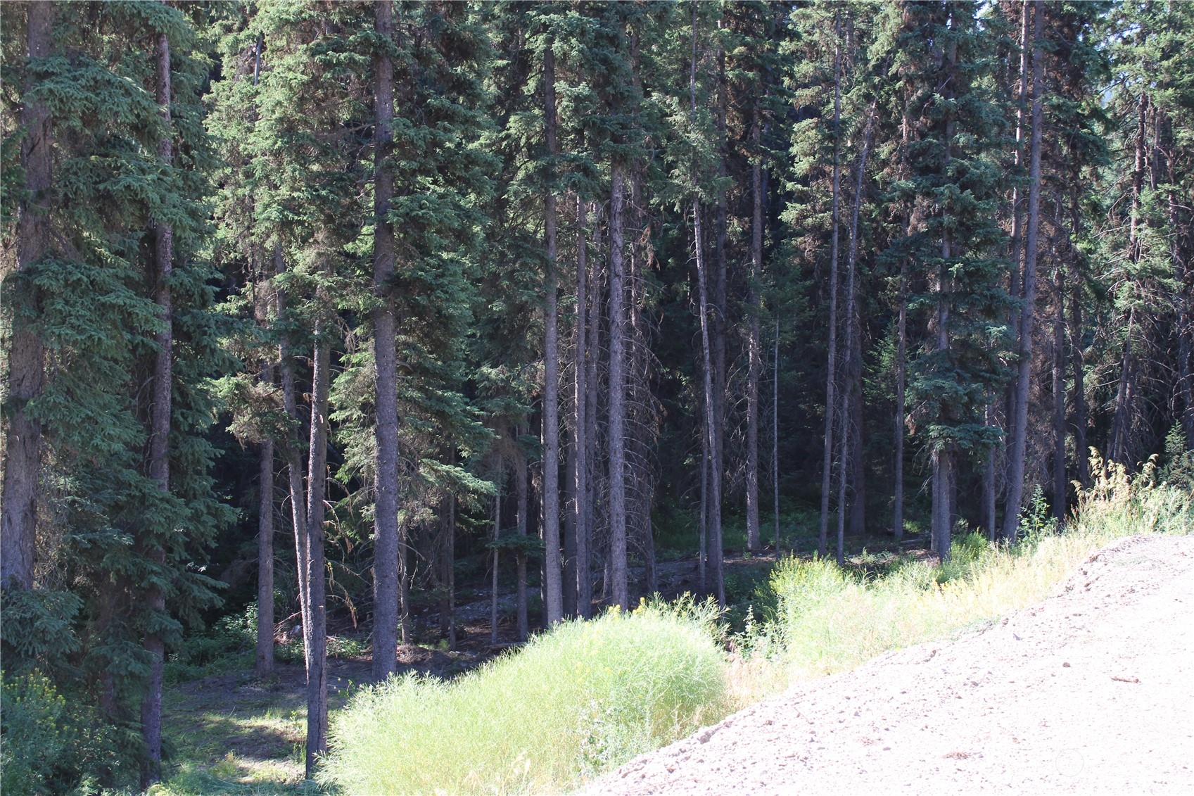 110 Bartroff Road Oroville, WA 98844 - Photo 31 of 38 a view of backyard of the house