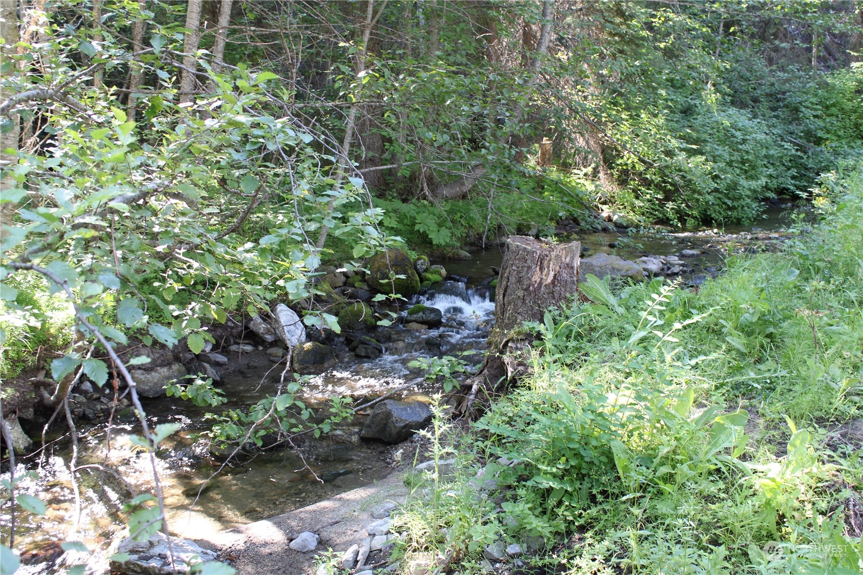 110 Bartroff Road Oroville, WA 98844 - Photo 34 of 38 a plant view in yard