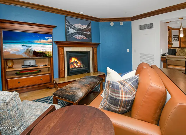 a living room with furniture a flat screen tv and a fireplace