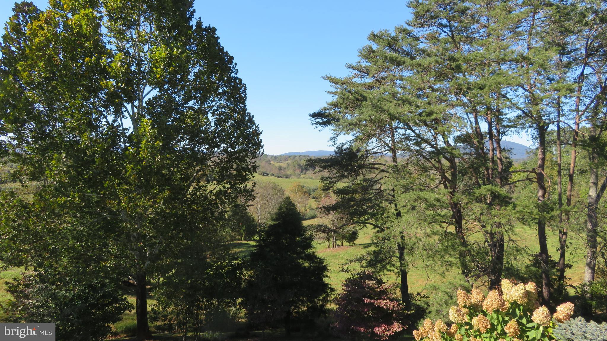 5790 Leeds Manor Road Hume, VA 22639 - Photo 25 of 61 View from Terrace