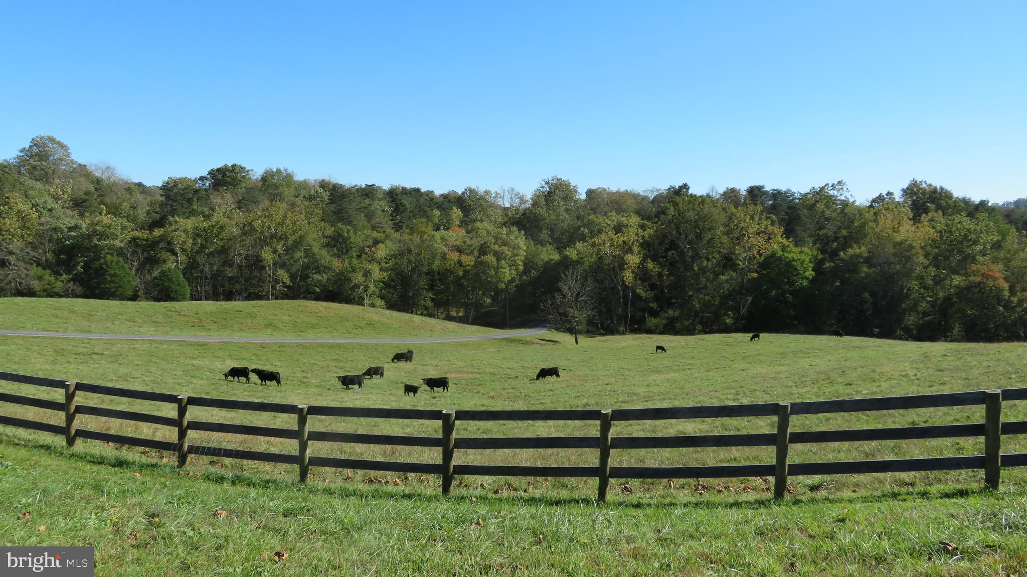 5790 Leeds Manor Road Hume, VA 22639 - Photo 34 of 61 View from property driveway