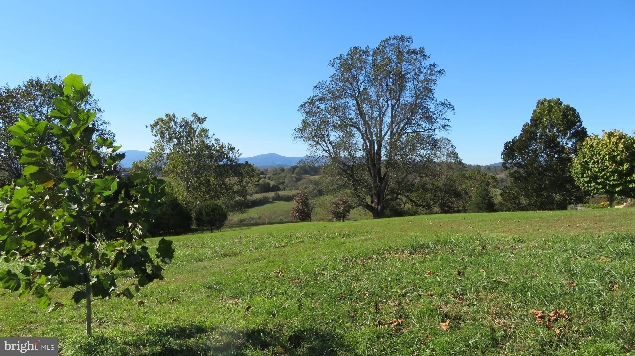 5790 Leeds Manor Road Hume, VA 22639 - Photo 35 of 61 Pasture view