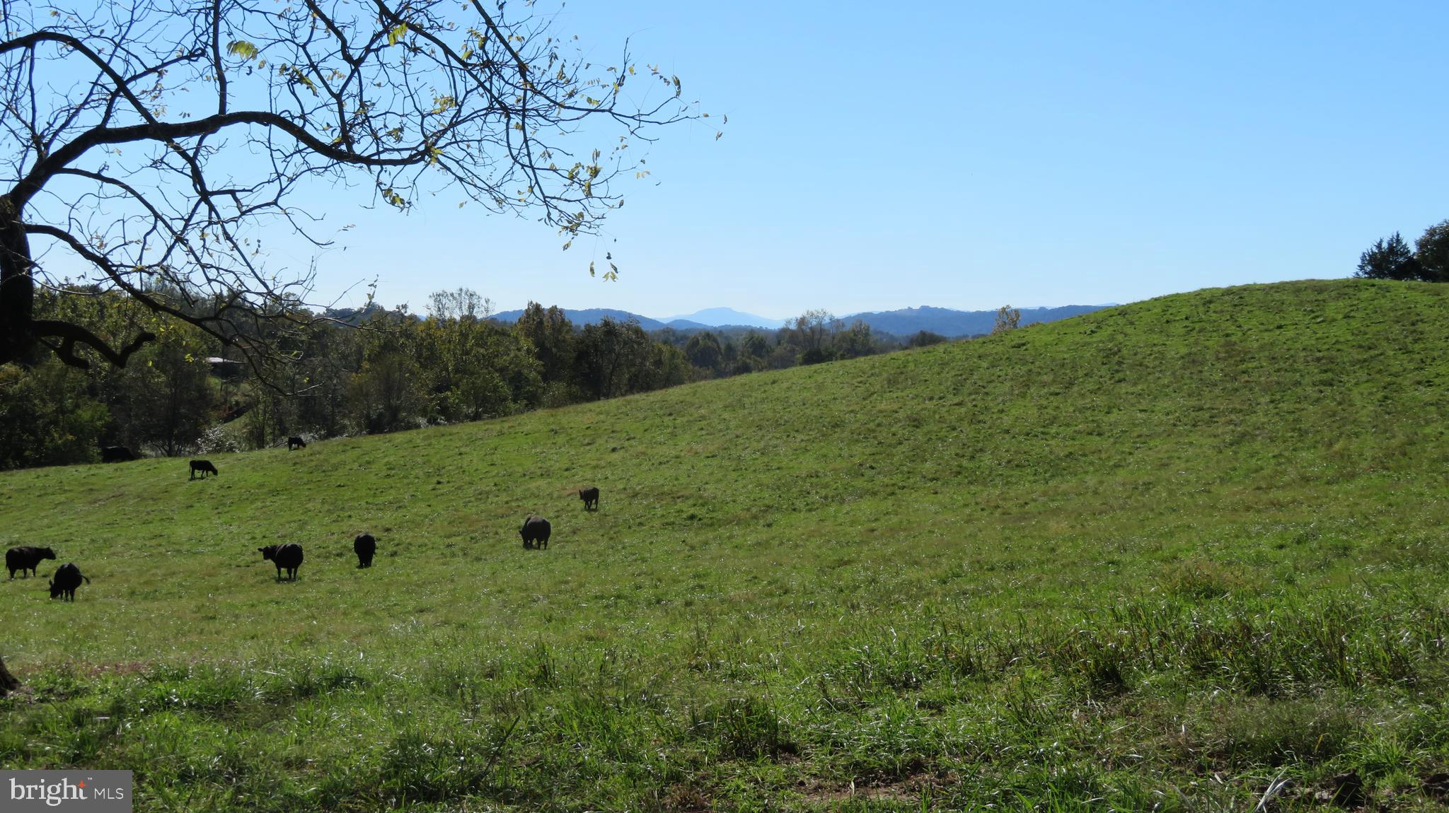 5790 Leeds Manor Road Hume, VA 22639 - Photo 36 of 61 Pasture view