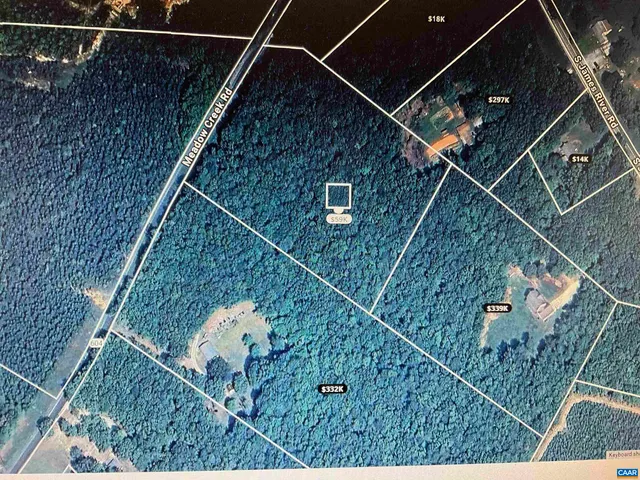 a view of a yard with plants and trees