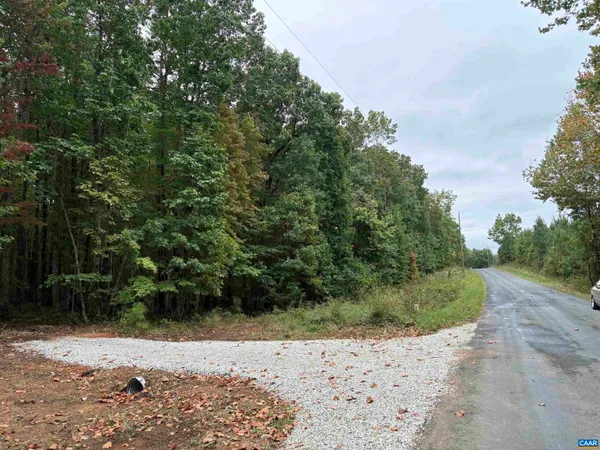 a view of outdoor space with lots of trees