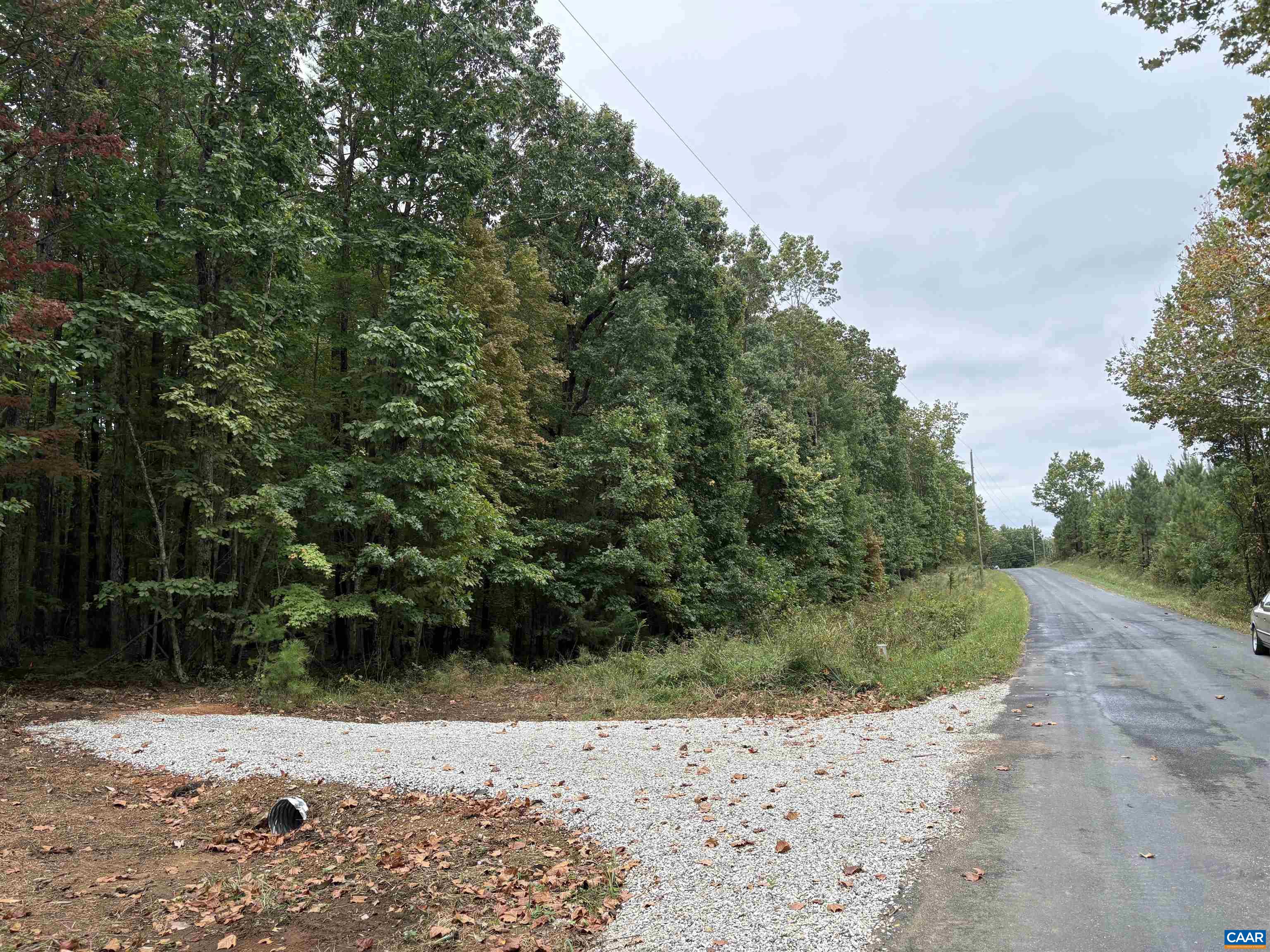 0 Meadow Creek Road Wingina, VA 24599 - Photo 2 of 7 a view of a yard with plants and trees