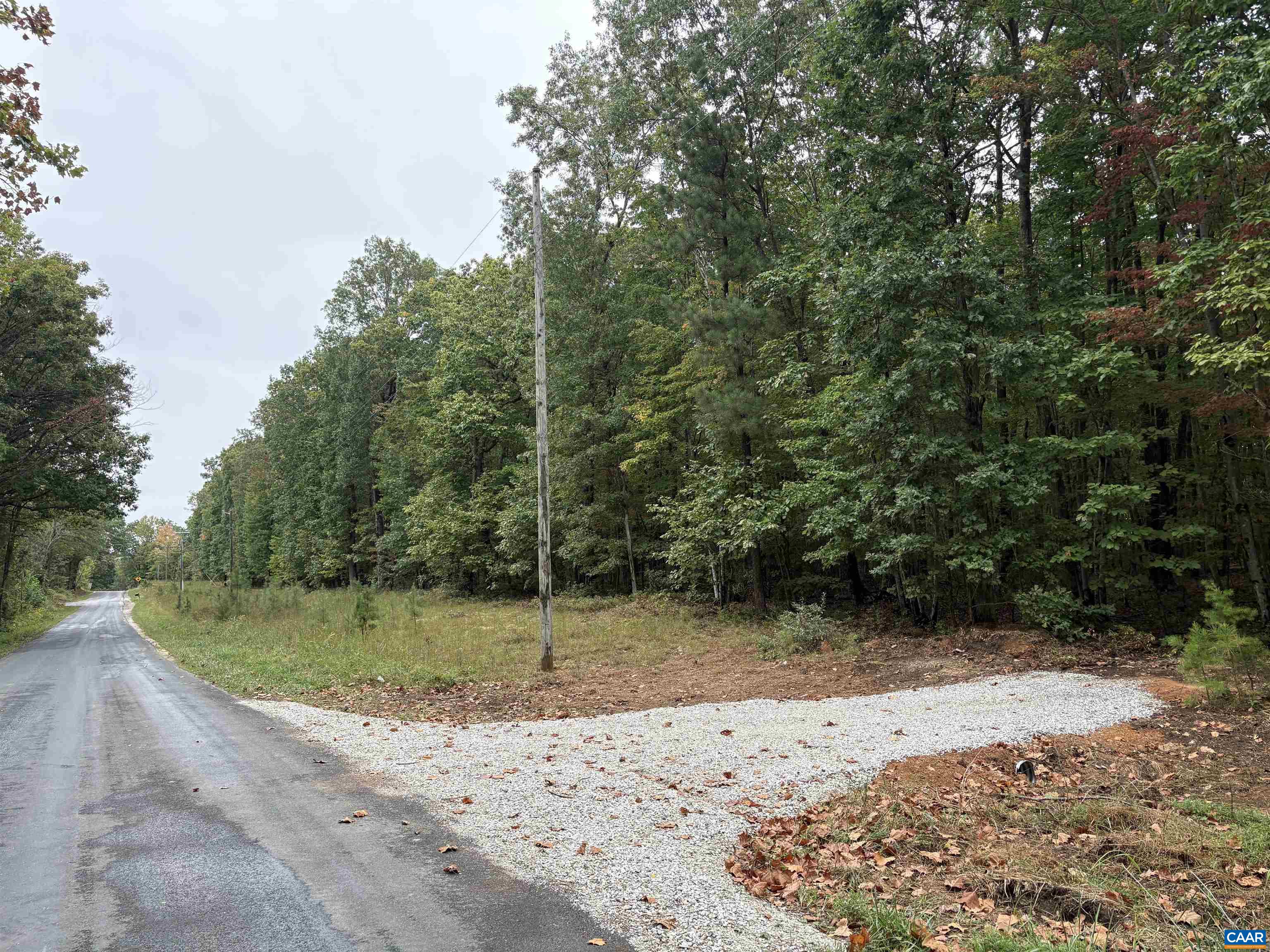 0 Meadow Creek Road Wingina, VA 24599 - Photo 5 of 7 a view of a wooden floor with a dry yard
