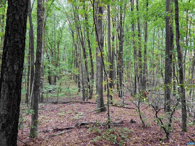 a black and white photo of a book