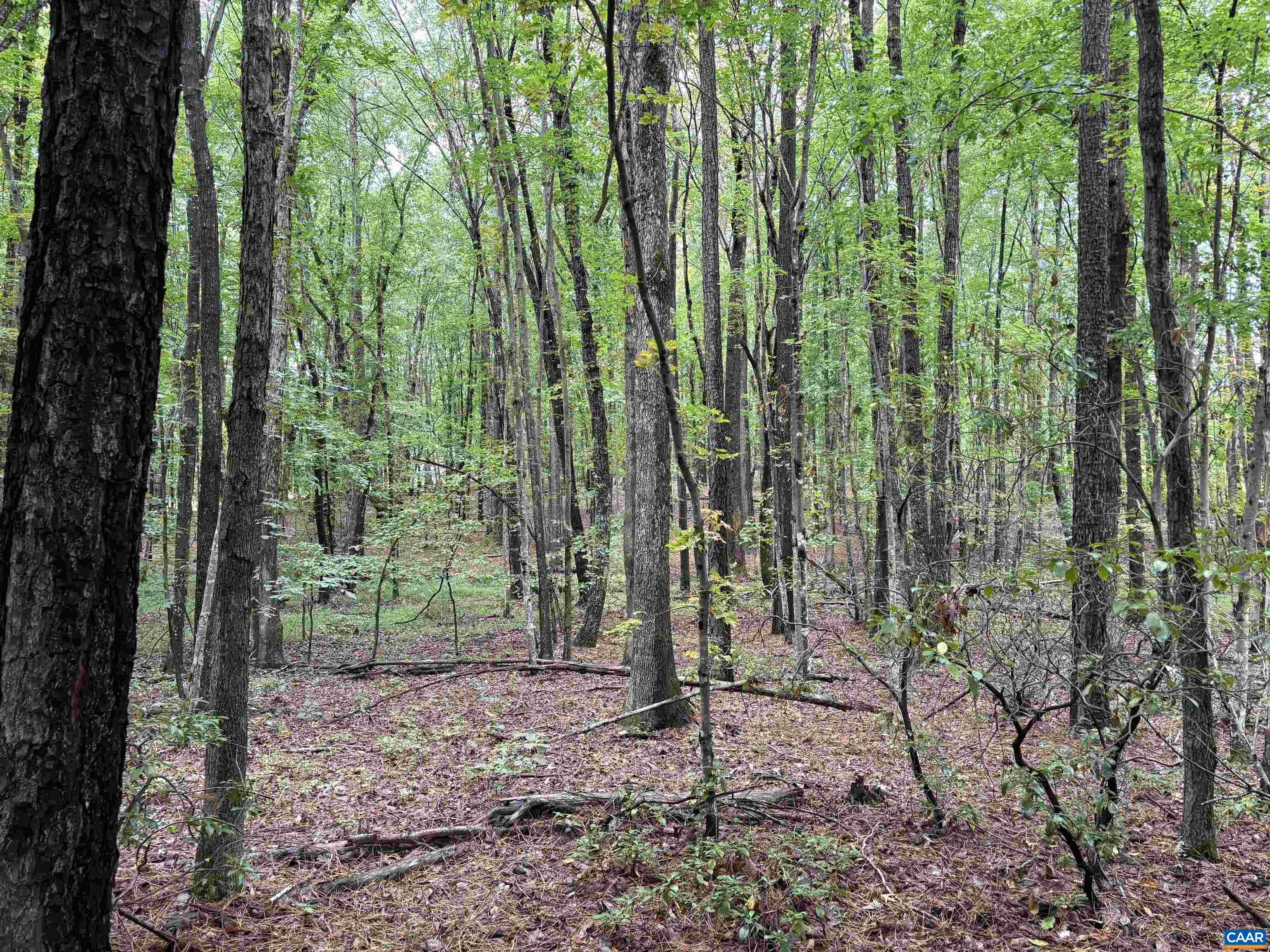 0 Meadow Creek Road Wingina, VA 24599 - Photo 6 of 7 a view of outdoor space and garden
