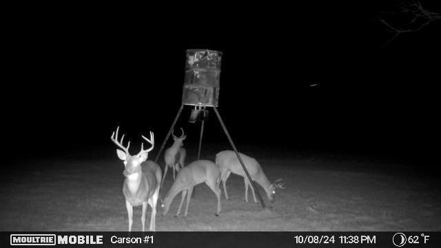 290 Barton Road Maypearl, TX 76064 - Photo 31 of 32 a black and white photo of a house