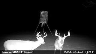 290 Barton Road Maypearl, TX 76064 - Photo 32 of 32 a view of entryway