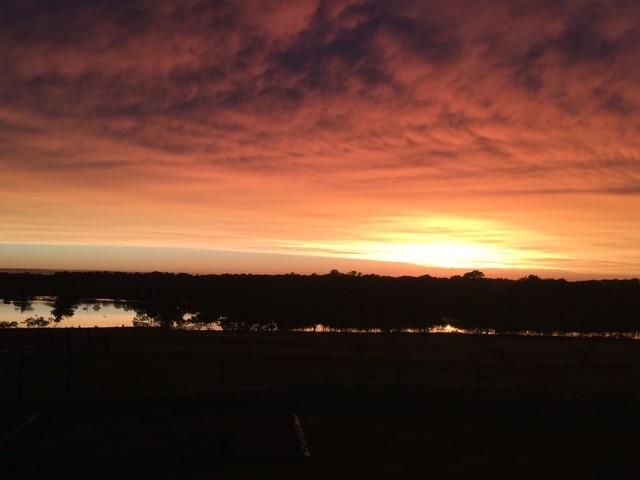 290 Barton Road Maypearl, TX 76064 - Photo 32 of 34 a view of sunset