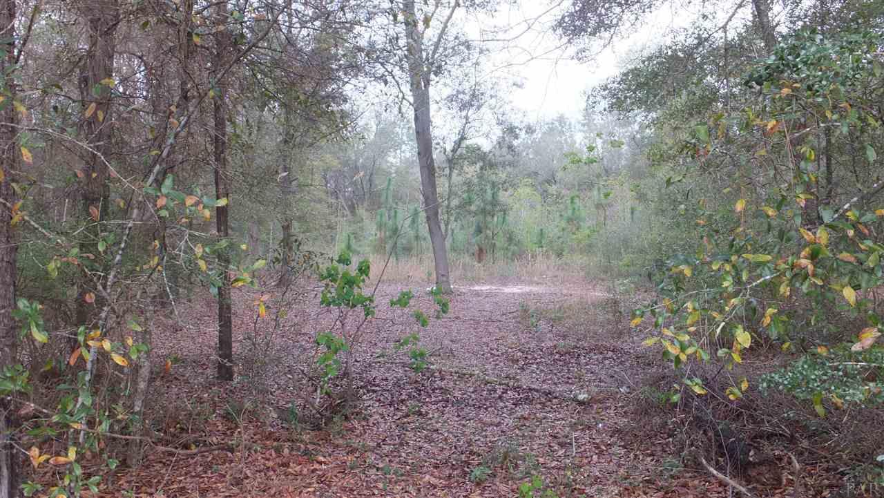 0 Country Club Road Milton, FL 32570 - Photo 3 of 10 CENTER HAS BEEN CLEARED
