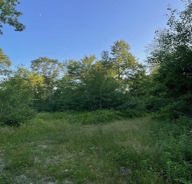 0 East Stockwell Road Harrison, MI 48625 - Photo 34 of 34