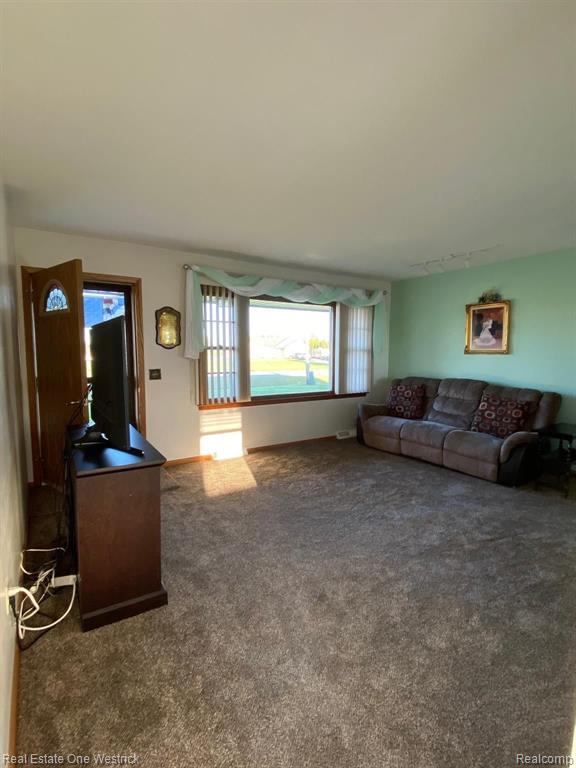 479 Riley Center Road Memphis, MI 48041 - Photo 4 of 61