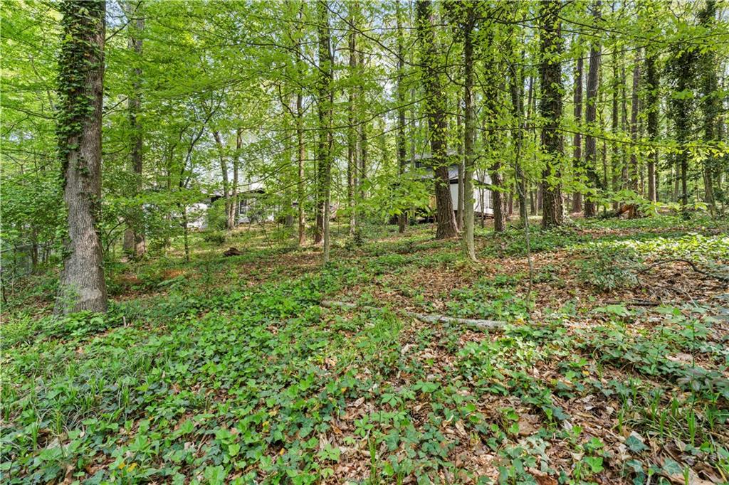 5253 Oxbow Road Stone Mountain, GA 30087 - Photo 102 of 103