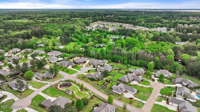 $975,500 | 204 St Charlotte Cove, Madison, MS 39110