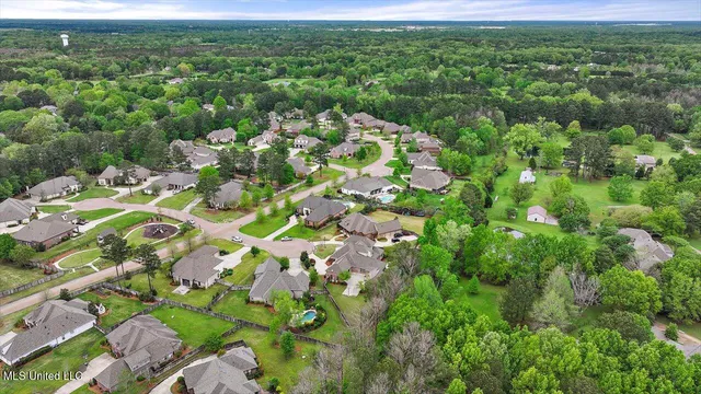 $975,500 | 204 St Charlotte Cove, Madison, MS 39110