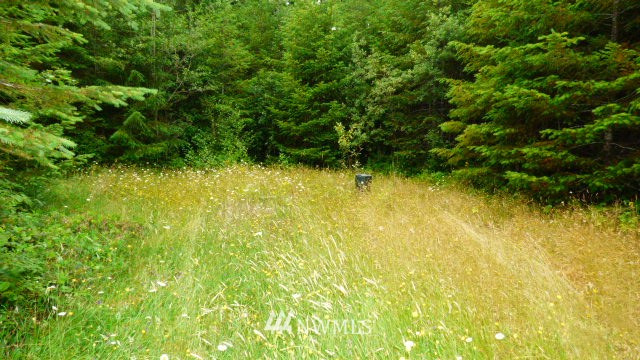 63 East Mox Chehalis Road McCleary, WA 98557 - Photo 22 of 23 Gallery Image 22