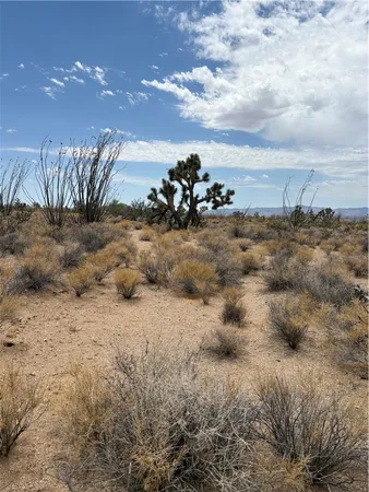 $9,500 | 244-08-203 244-08-203 Organ Pipe Place, Yucca, AZ 86438