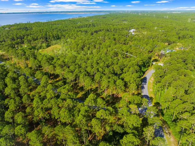 a view of a green yard