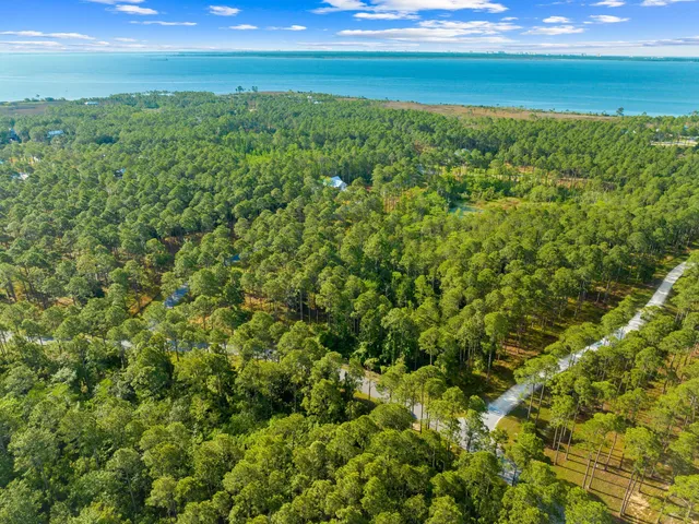 a view of a city with lush green forest