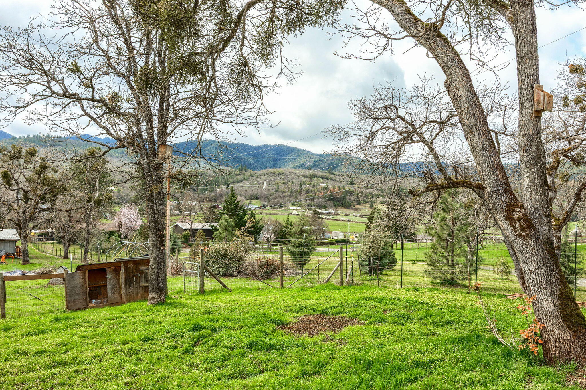 4040 Dark Hollow Road Medford, OR 97501 - Photo 56 of 58 ApxDH (17)