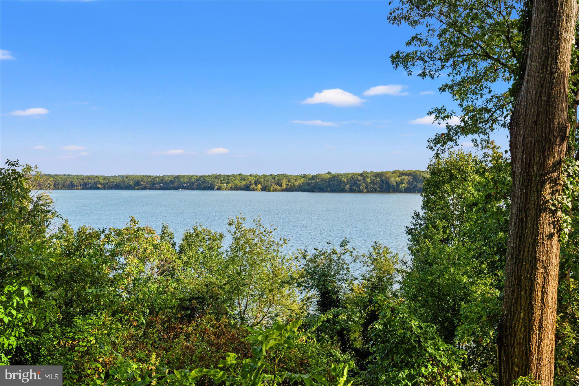 Gentle slope to the water