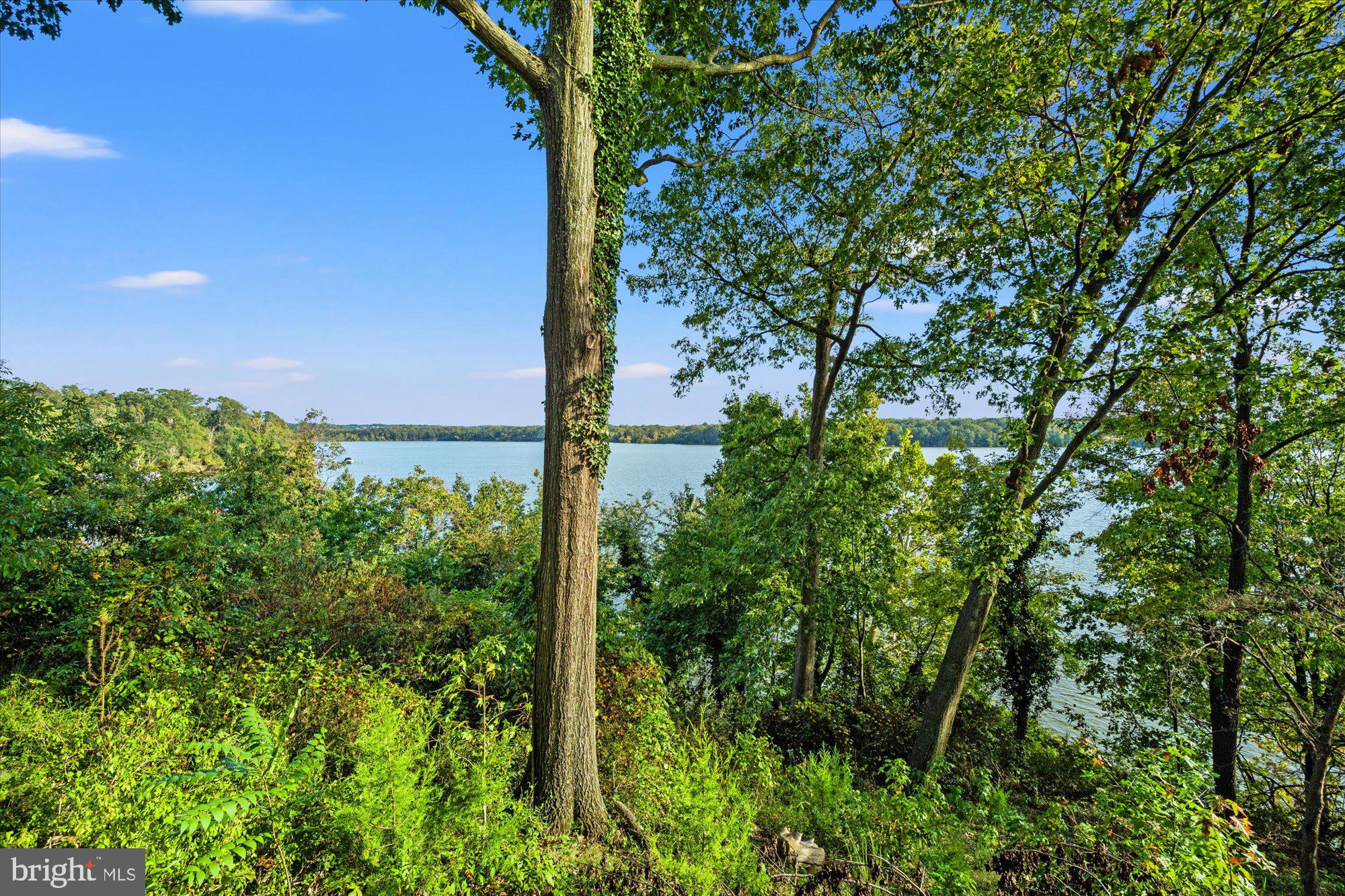 9907 Indian Queen Point Road Fort Washington, MD 20744 - Photo 50 of 52 Gallery Image 50