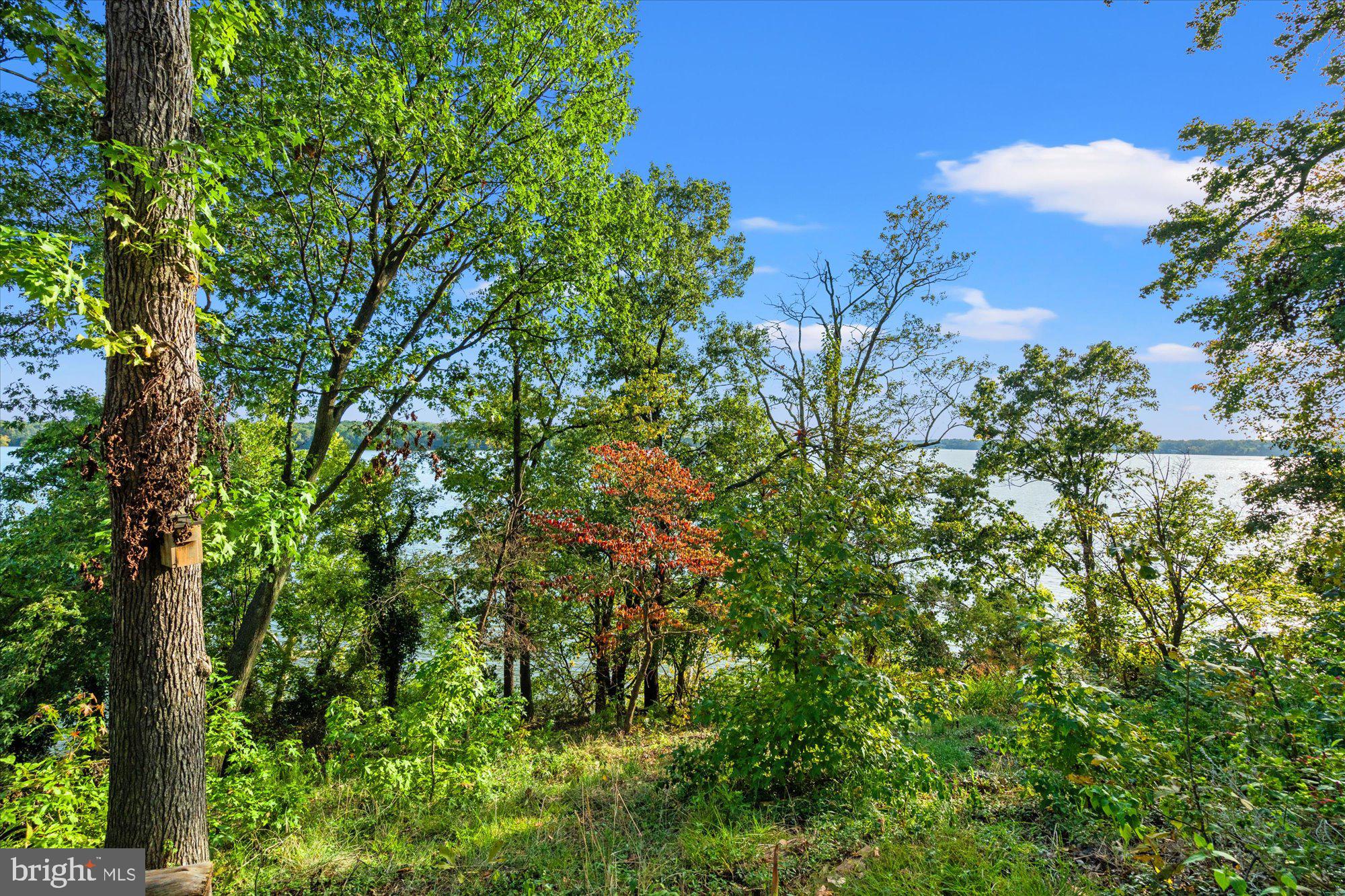 9907 Indian Queen Point Road Fort Washington, MD 20744 - Photo 51 of 52 Gallery Image 51