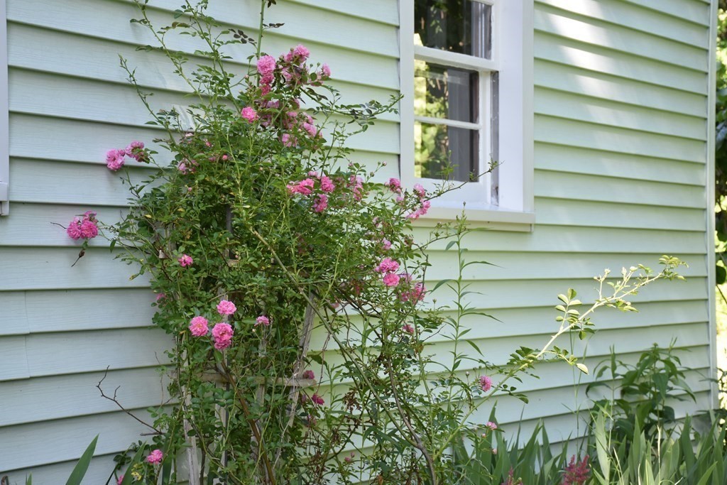 11 Fabyan Road Dudley, MA 01571 - Photo 18 of 40 Gallery Image 18