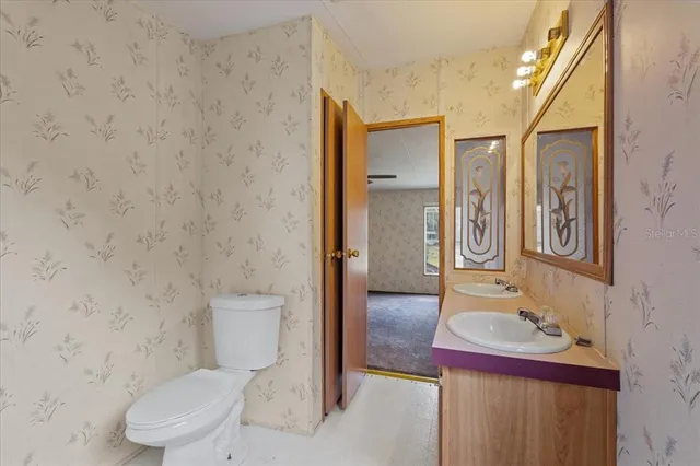 a bathroom with a toilet a sink and mirror