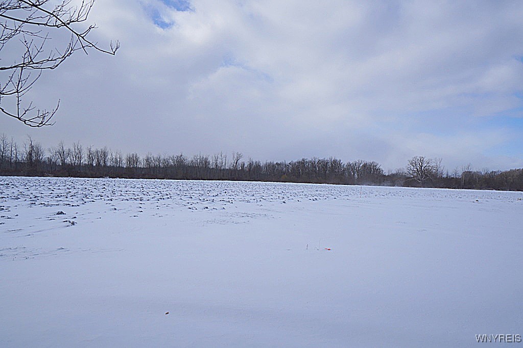 6182 Royalton Center Road Royalton, NY 14001 - Photo 30 of 33