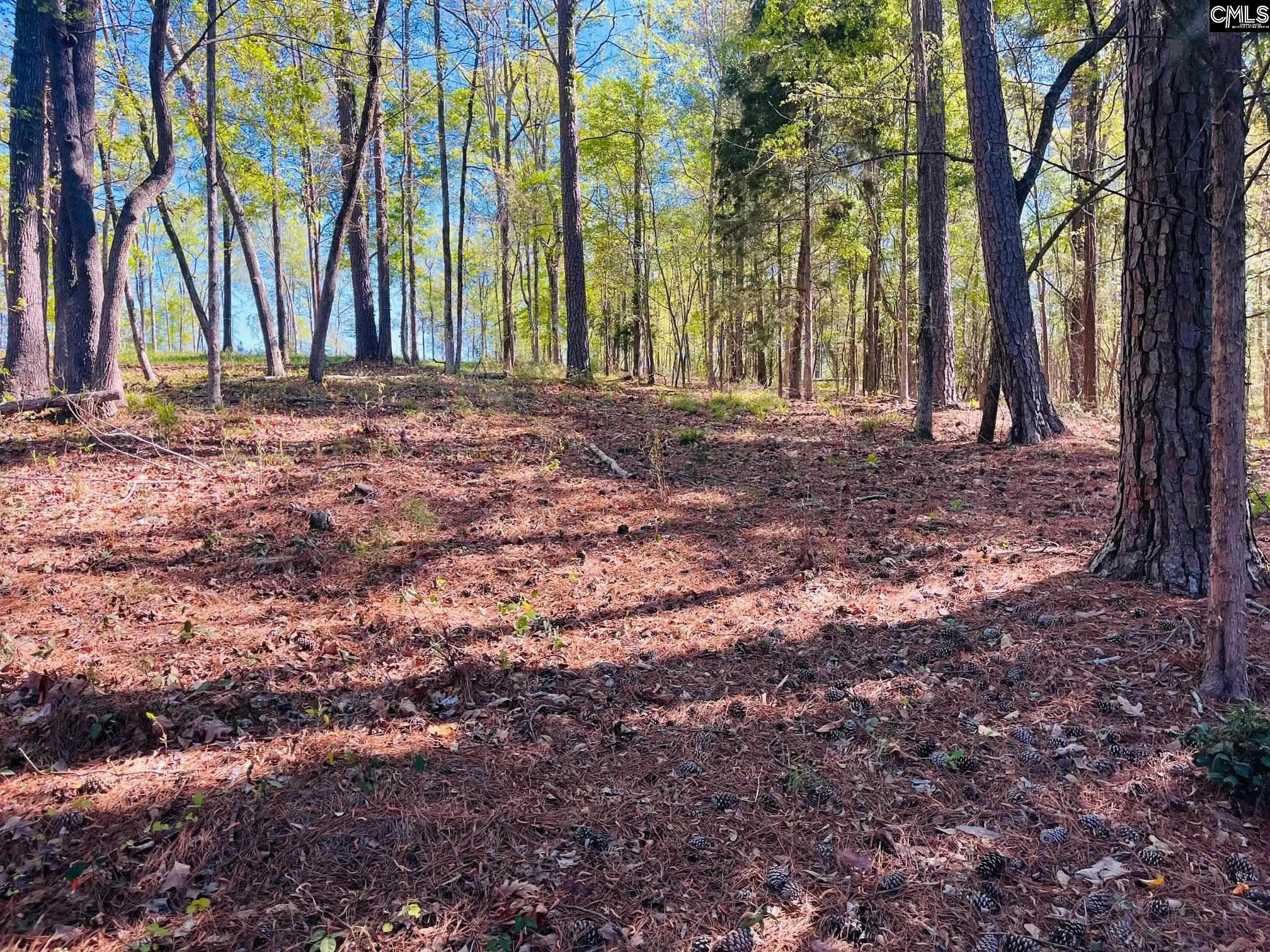 0 Lands End Lane Prosperity, SC 29127 - Photo 14 of 20