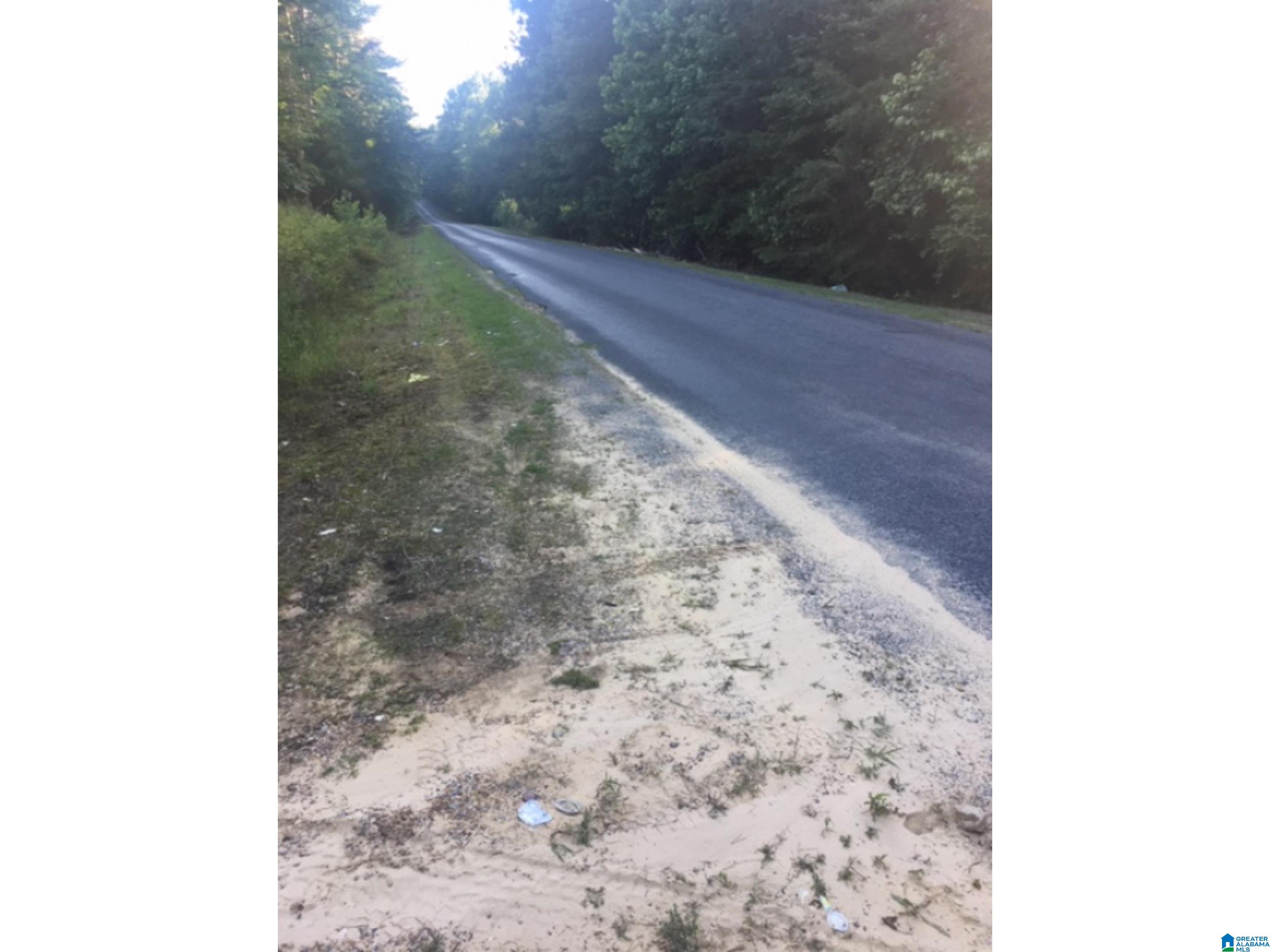 0 County Road 141, Unit 1 Ider, AL 35981 - Photo 6 of 29