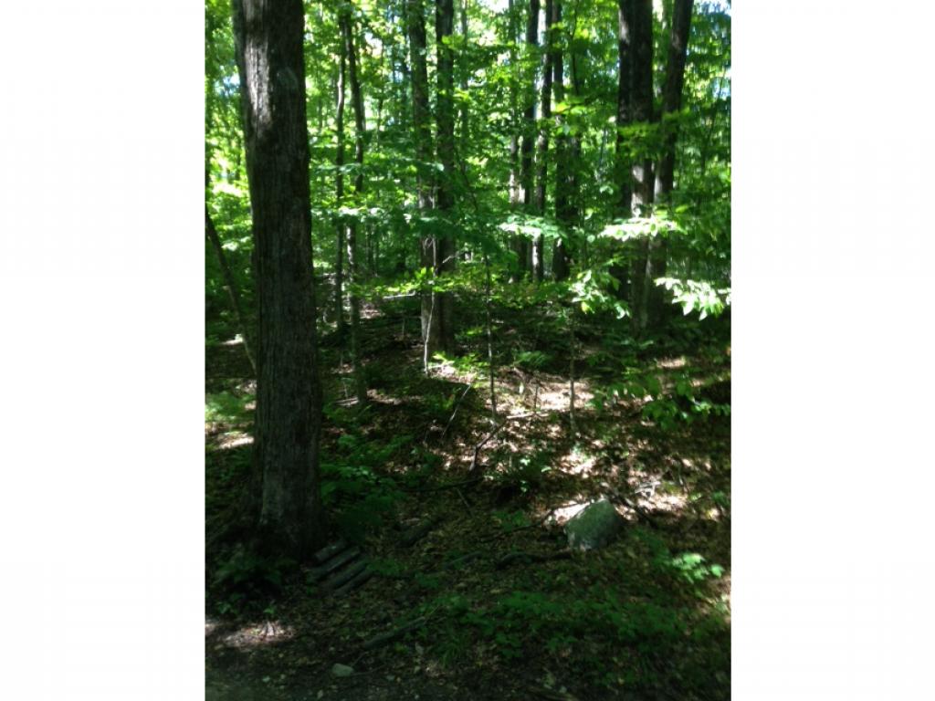 2349 Monument Hill Road Hubbardton, VT 05735 - Photo 3 of 4