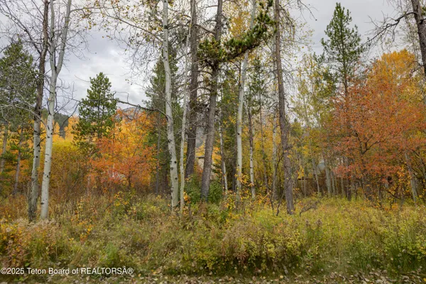 $919,000 | 4450 Berry Drive, Unit 39 12, Wilson, WY 83014