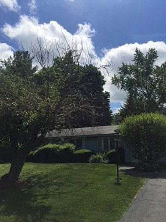 11 Maureen Road Framingham, MA 01701 - Photo 2 of 29 Gallery Image 2