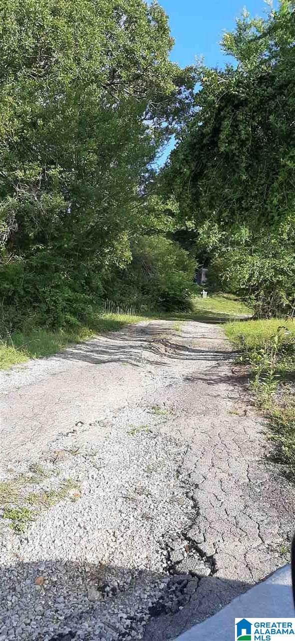 2764 County Line Drive Trafford, AL 35172 - Photo 3 of 4