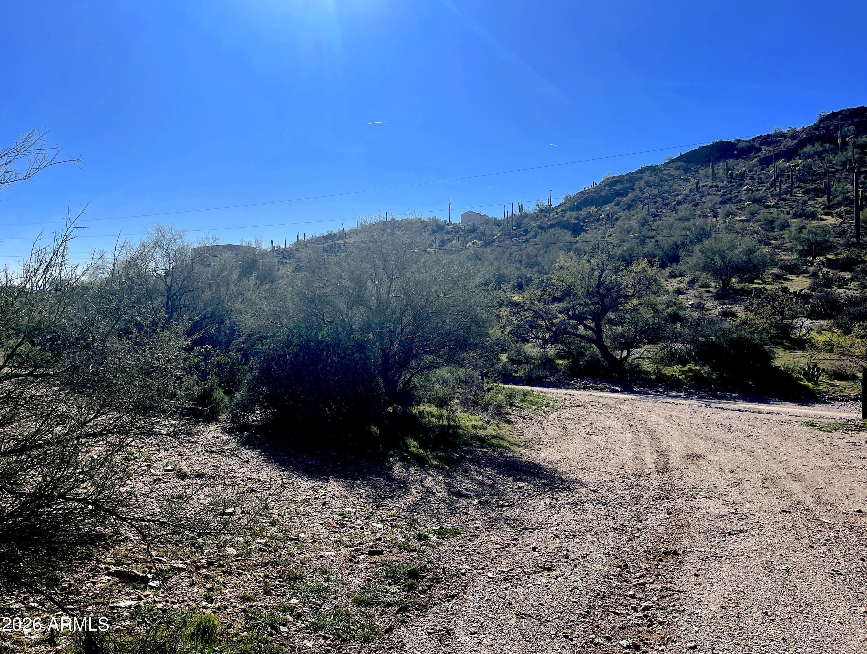 a view of a yard with a tree
