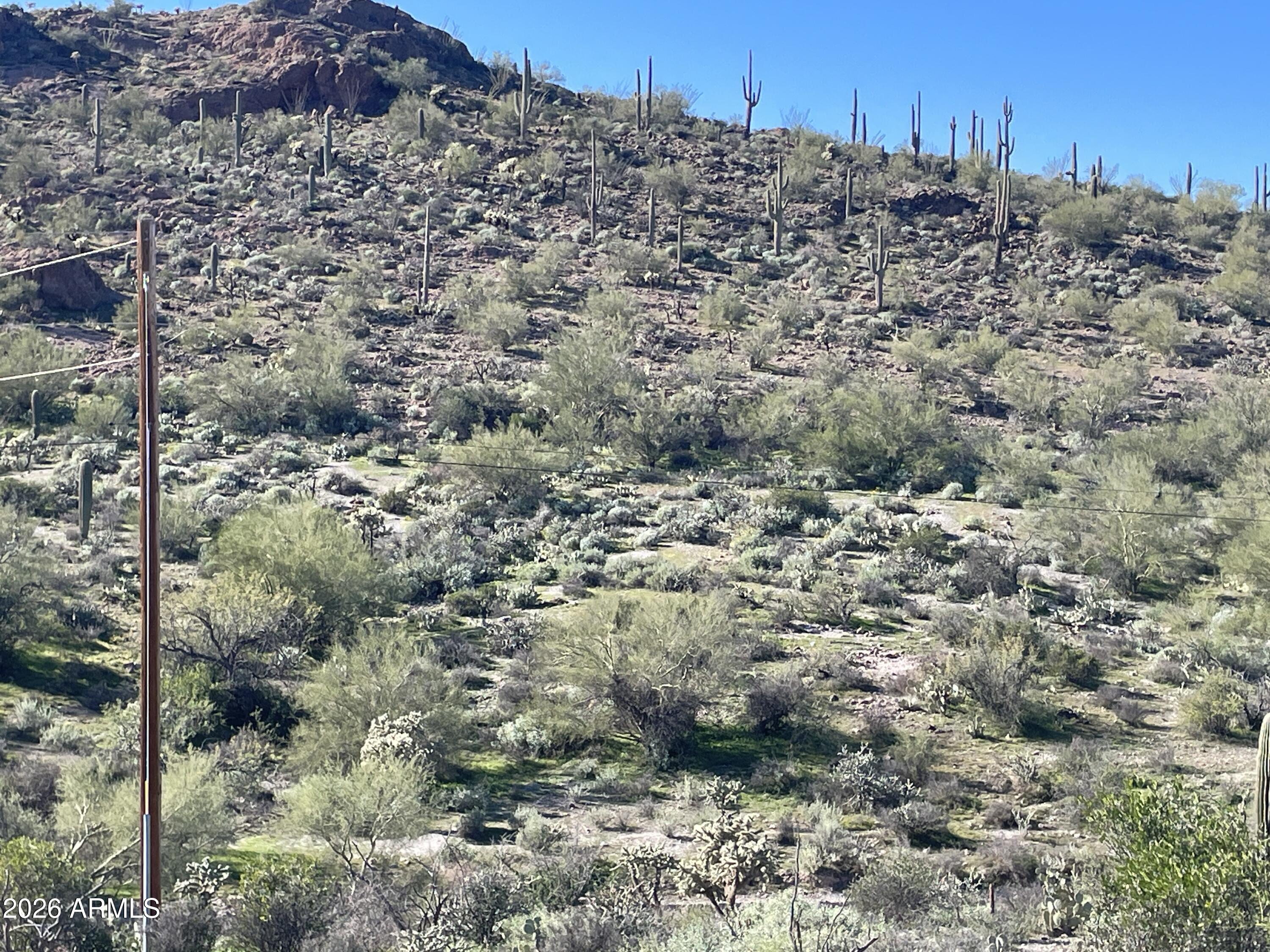 0 North Elephant Butte Road Gold Canyon, AZ 85118 - Photo 11 of 12 a view of a dry yard