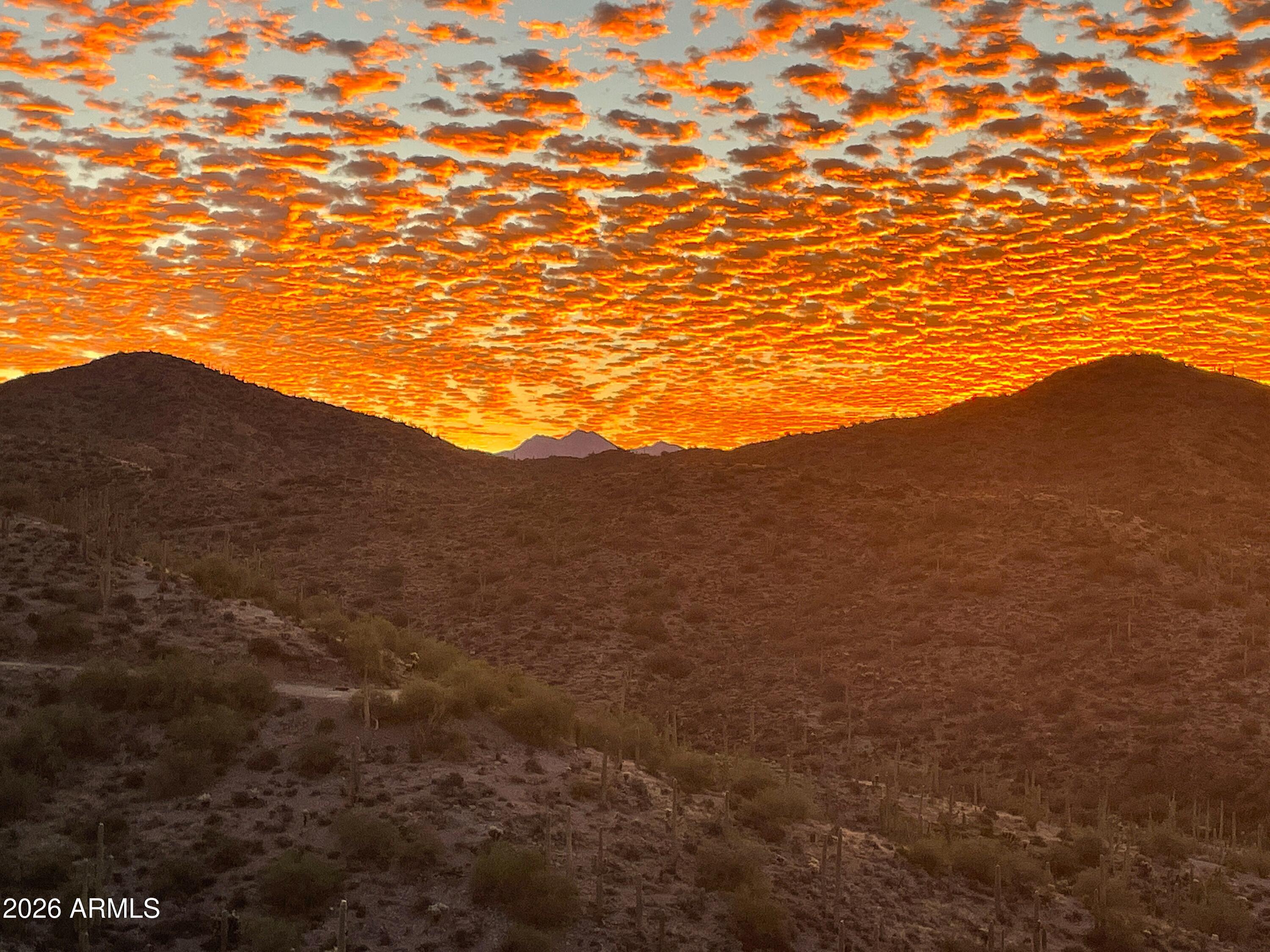 0 North Elephant Butte Road Gold Canyon, AZ 85118 - Photo 12 of 12