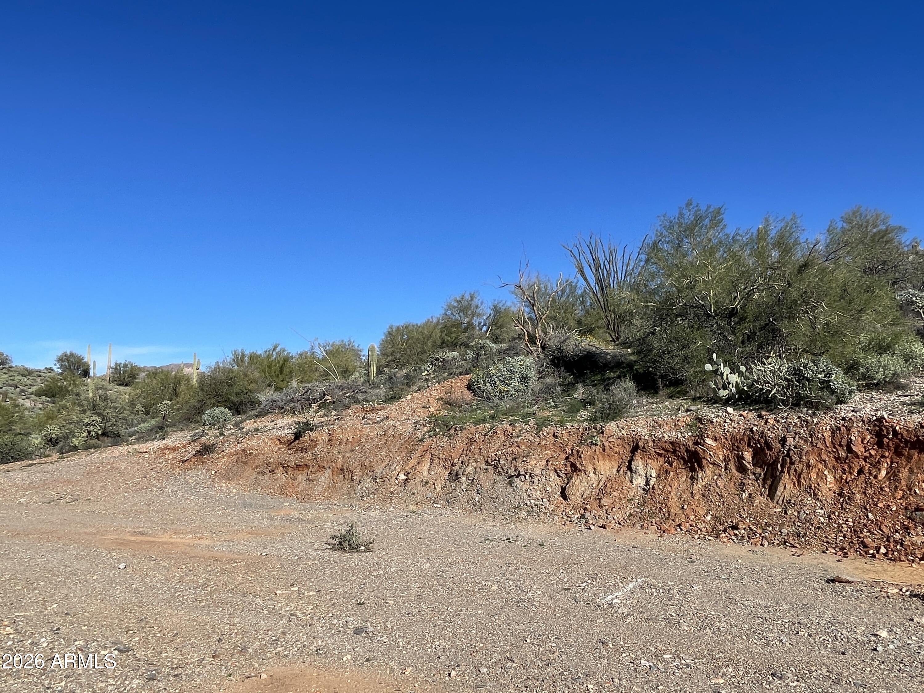 0 North Elephant Butte Road Gold Canyon, AZ 85118 - Photo 2 of 12 a view of a dry yard