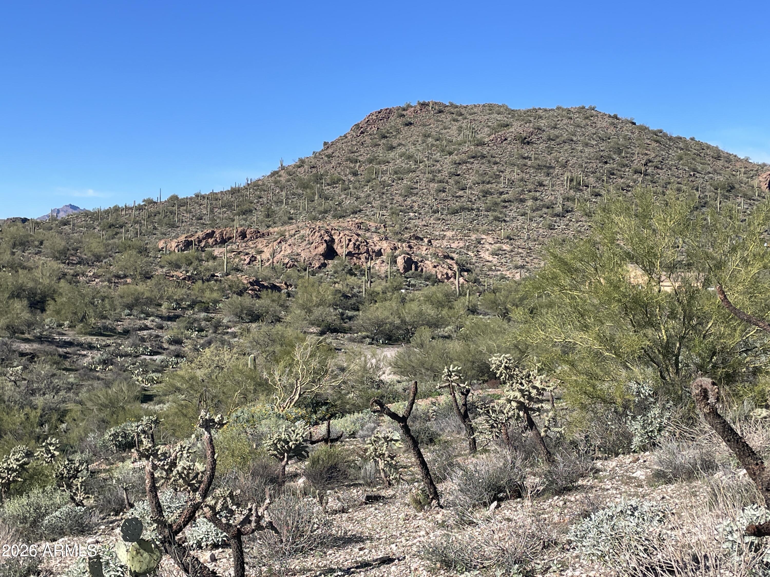 0 North Elephant Butte Road Gold Canyon, AZ 85118 - Photo 10 of 12 a view of a mountain