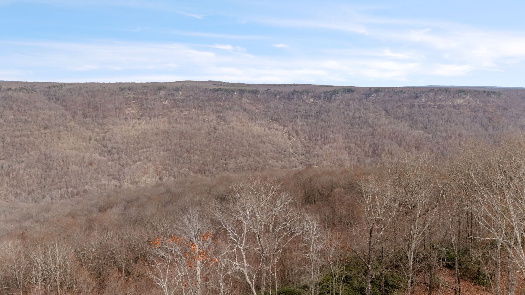 2345 Eagle Roack Road Monteagle, TN 37356 - Photo 63 of 68