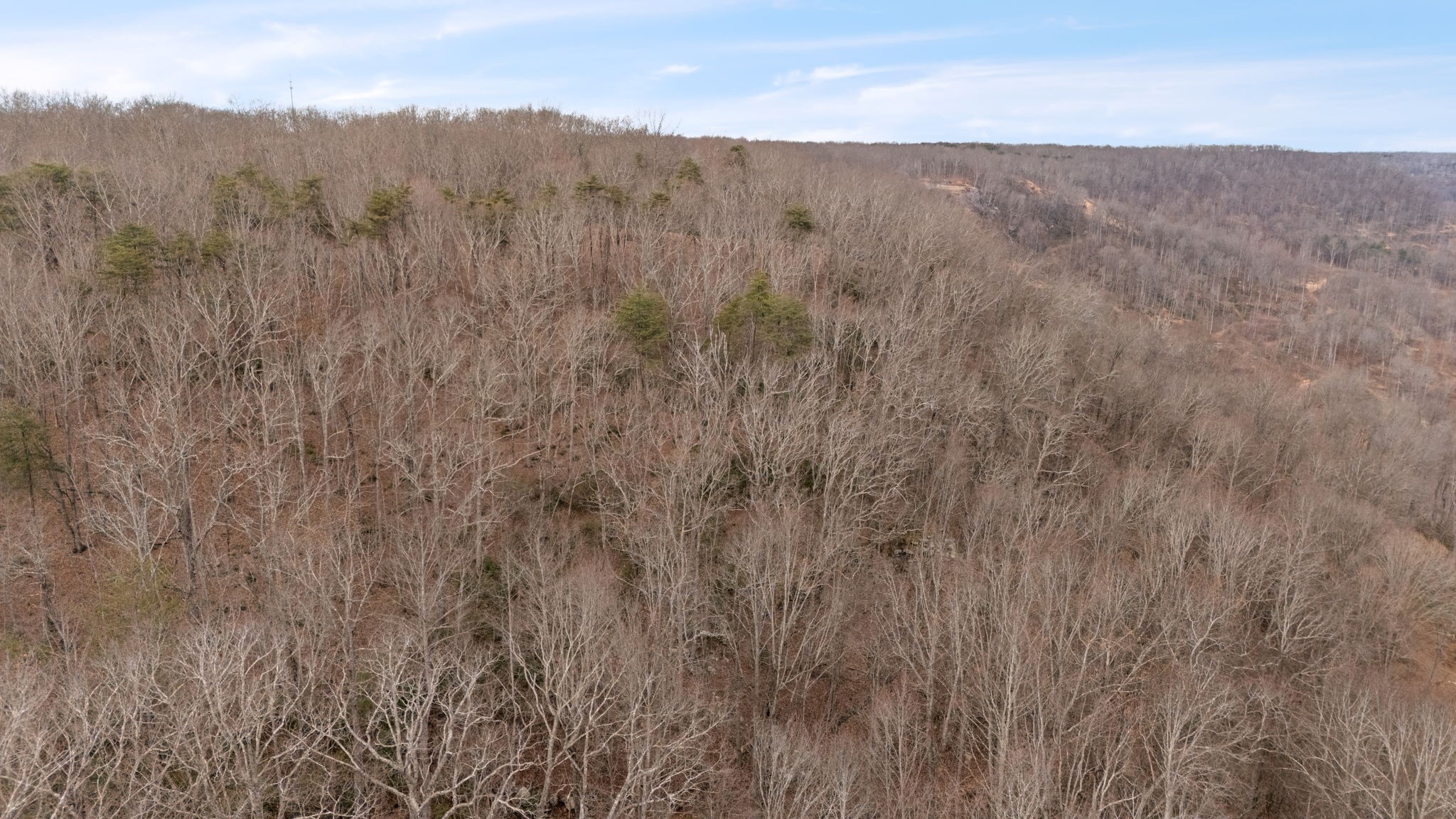 2345 Eagle Roack Road Monteagle, TN 37356 - Photo 68 of 68