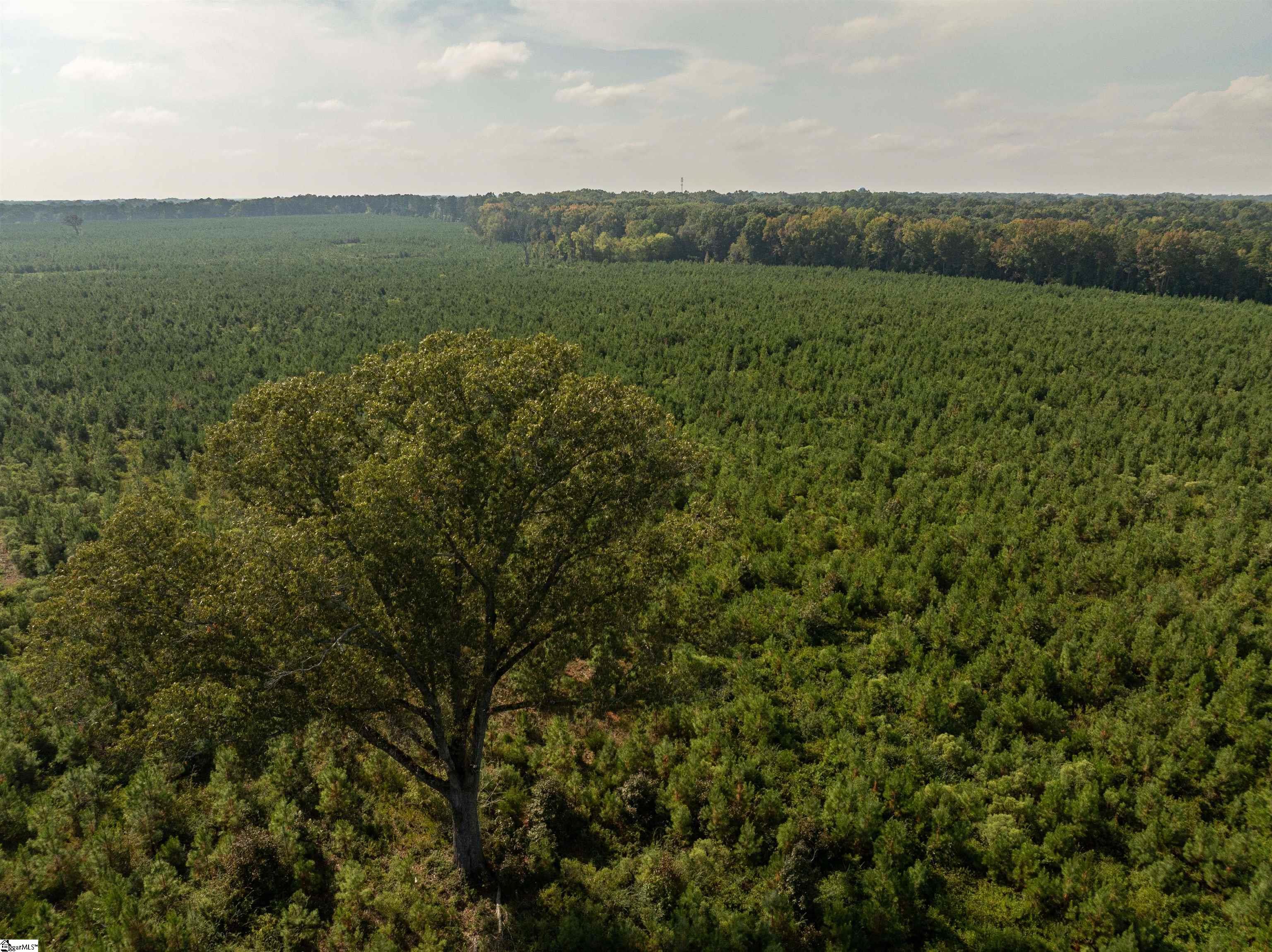 6 Young Road Clinton, SC 29325 - Photo 20 of 20
