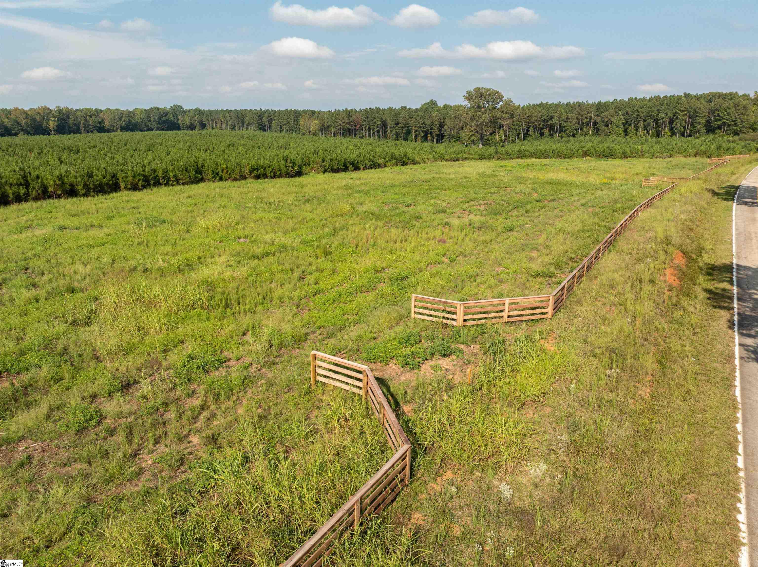 6 Young Road Clinton, SC 29325 - Photo 5 of 20