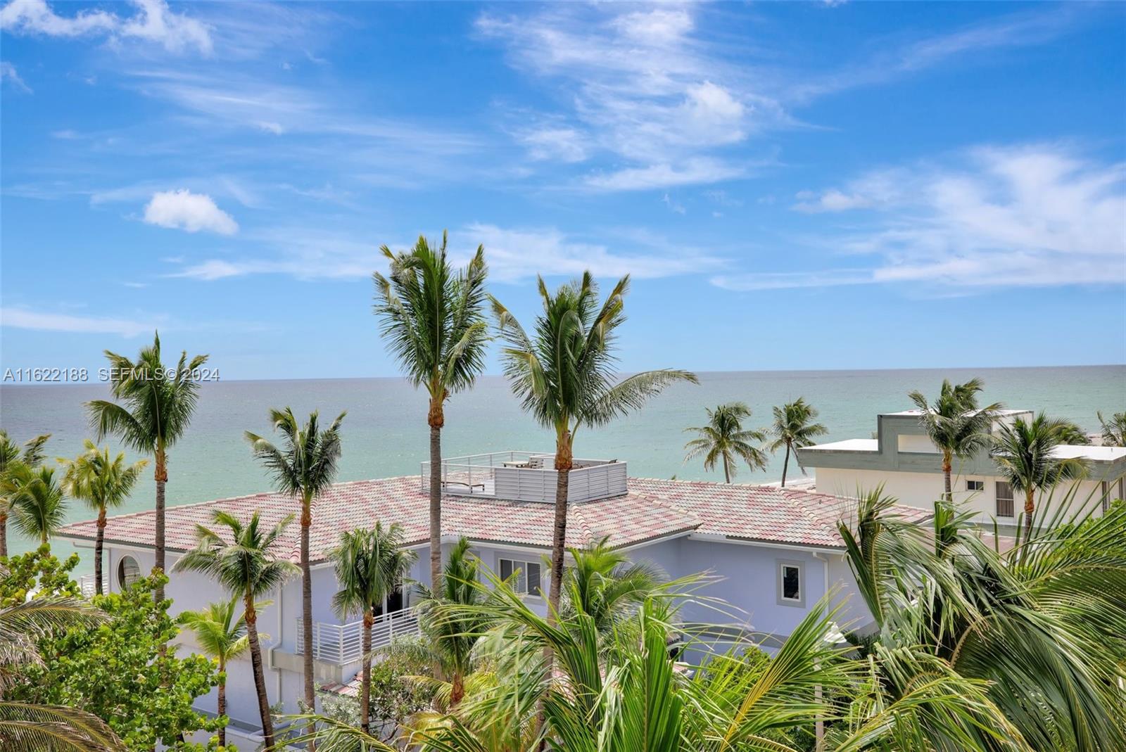305 Oak Street Hollywood, FL 33019 - Photo 29 of 97 a view of a palm tree with flower in a backyard
