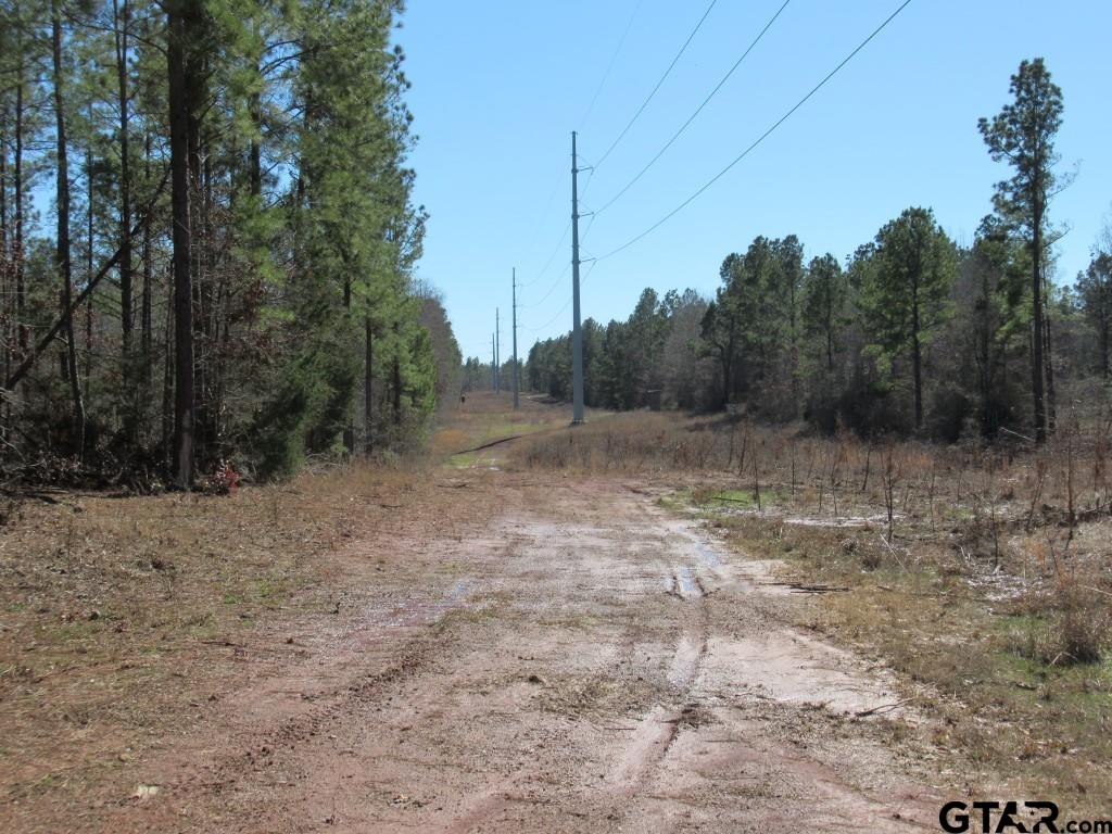 a view of a dry yard with trees